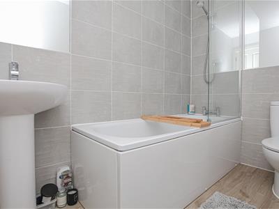 Picture 8
